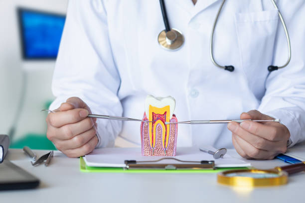Best Emergency Root Canal Treatment in Joseph City, AZ